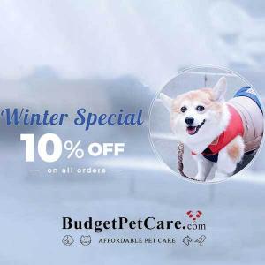 Winter Special 10% Off on All Orders