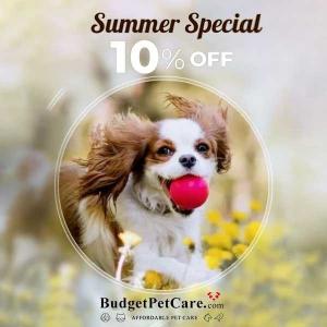 Summer Special: 10% Off All Orders