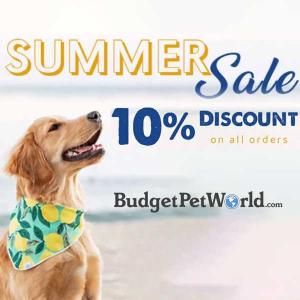 Summer Sale 10% Discount on All Orders