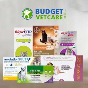 National Cat Health Month: 25% Off Cat Products