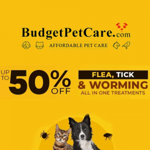 Up to 50% Off Flea, Tick & Worming All in One Treatment