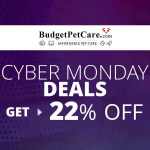 Cyber Monday Deals: 22% Off All Orders