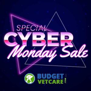 Cyber Monday Sale: 15% Off All Orders