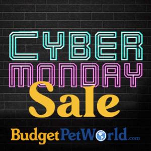 Cyber Monday: 25% Off on All Orders