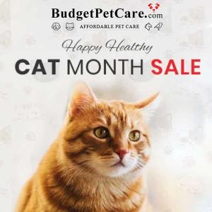 Cat Month Sale: $5 Off $85+ Purchase + Extra 12% Off