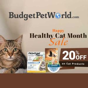 Cat Month Sale: 20% Off Cat Products