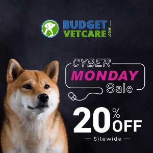 Cyber Monday Sale: 20% Off Sitewide