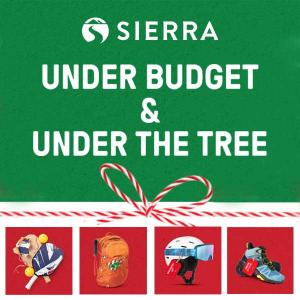 Under Budget & Under the Tree